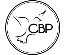 Comunidade Batista da Paz